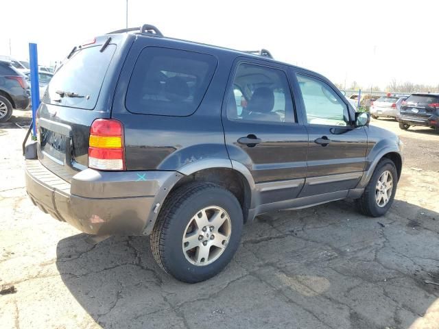 2005 Ford Escape XLT