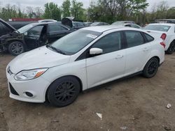 Salvage cars for sale at Baltimore, MD auction: 2014 Ford Focus SE