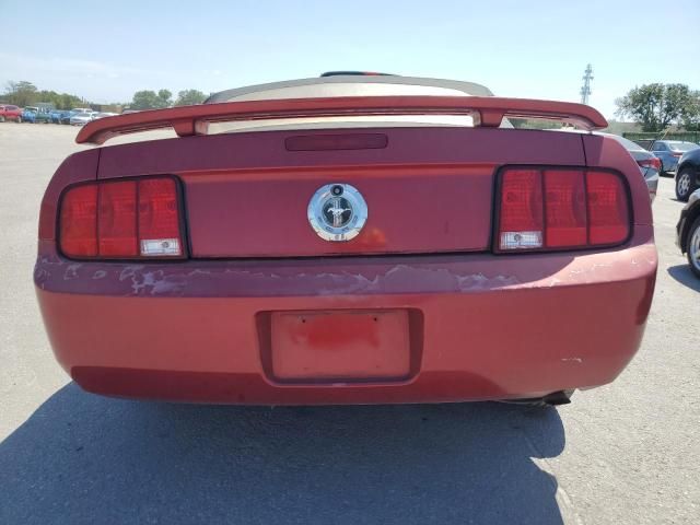 2005 Ford Mustang