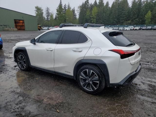 2020 Lexus UX 250H