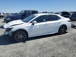 Salvage cars for sale at Antelope, CA auction: 2021 Toyota Camry SE