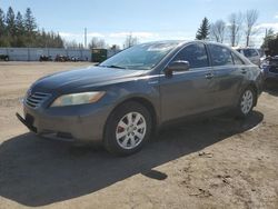 Salvage cars for sale from Copart Bowmanville, ON: 2007 Toyota Camry Hybrid