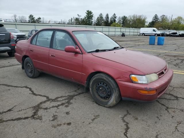 1997 Toyota Corolla DX