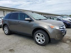 Salvage cars for sale at Louisville, KY auction: 2014 Ford Edge SEL