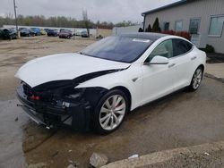 2014 Tesla Model S for sale in Louisville, KY