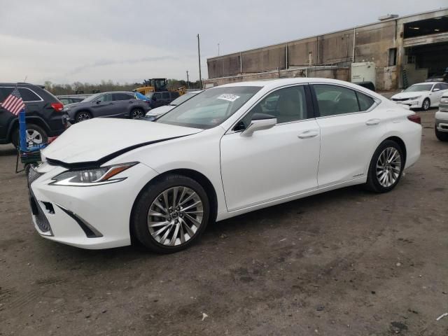 2019 Lexus ES 300H