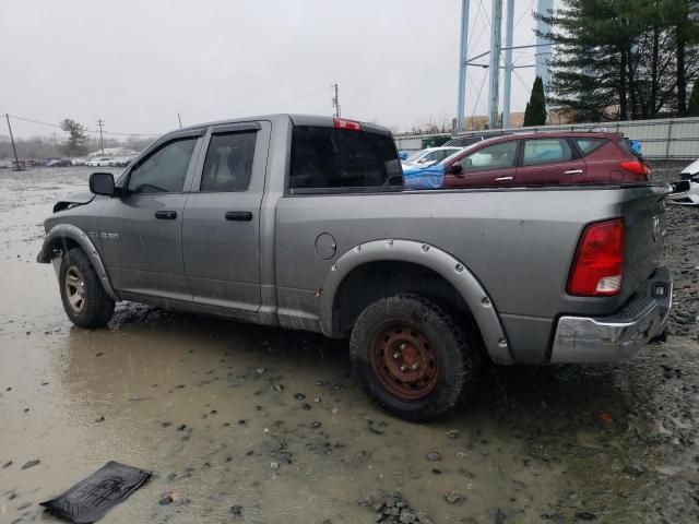 2010 Dodge RAM 1500