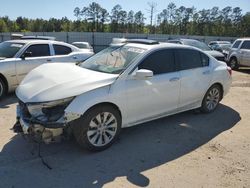 Salvage cars for sale at Harleyville, SC auction: 2015 Honda Accord EXL