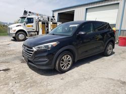 Salvage cars for sale at Chambersburg, PA auction: 2017 Hyundai Tucson SE
