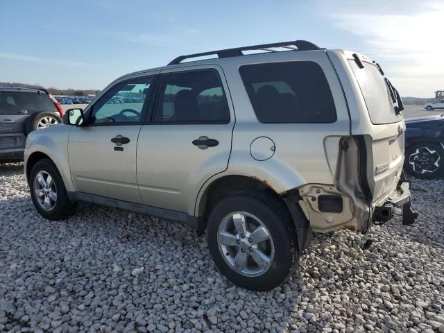 2010 Ford Escape XLT