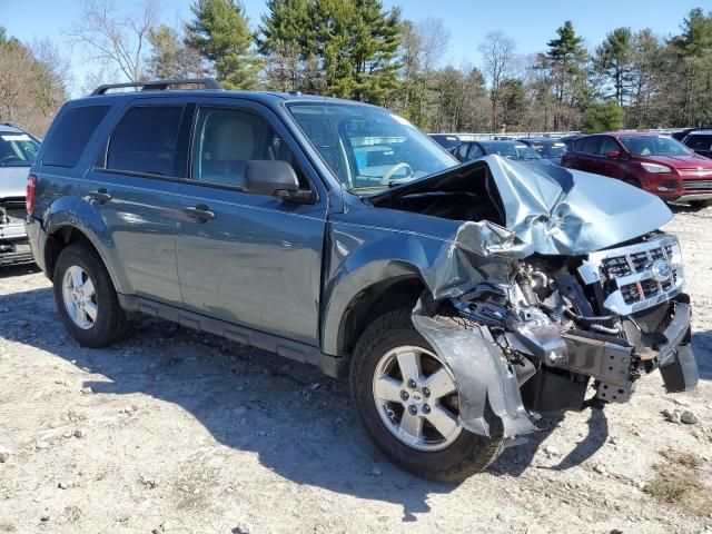 2011 Ford Escape XLT