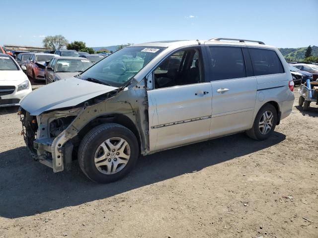 2005 Honda Odyssey EXL