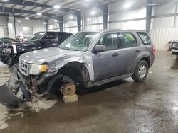 Salvage cars for sale at Ham Lake, MN auction: 2008 Ford Escape XLS