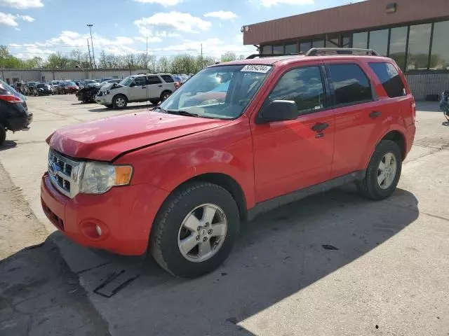 2009 Ford Escape XLT