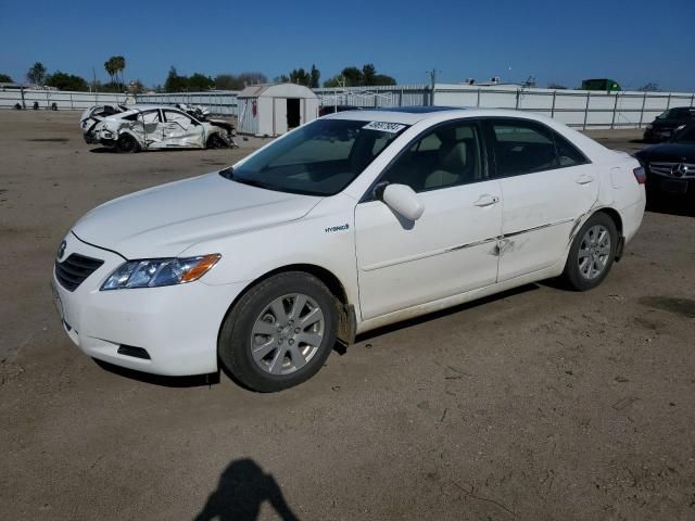 2009 Toyota Camry Hybrid