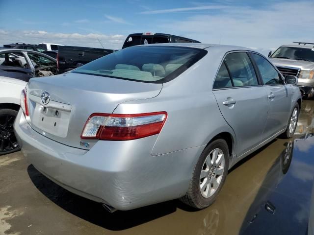 2008 Toyota Camry Hybrid