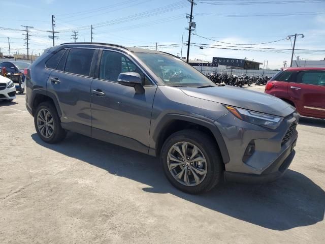 2022 Toyota Rav4 XLE Premium