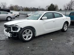 Dodge salvage cars for sale: 2021 Dodge Charger SXT