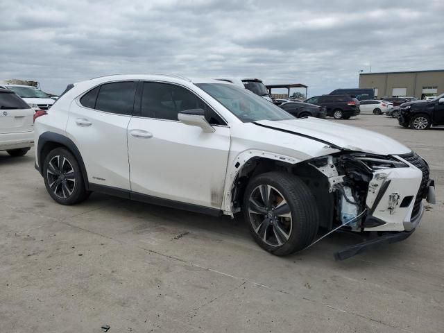 2019 Lexus UX 250H