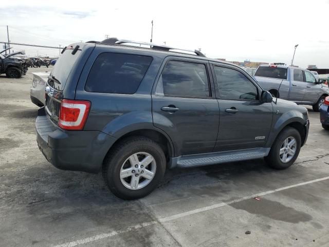 2008 Ford Escape HEV