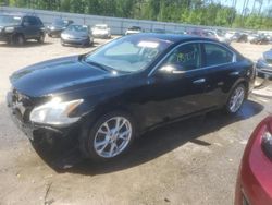 Salvage cars for sale from Copart Harleyville, SC: 2012 Nissan Maxima S