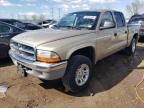 2004 Dodge Dakota Quad SLT