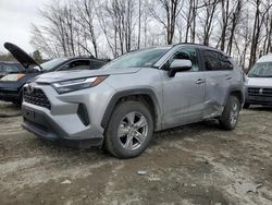 Toyota Rav4 XLE salvage cars for sale: 2022 Toyota Rav4 XLE