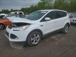 2015 Ford Escape SE for sale in Ellwood City, PA