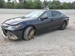 Salvage cars for sale from Copart Greenwell Springs, LA: 2023 Lexus ES 350 Base