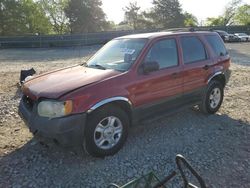 Salvage cars for sale from Copart Madisonville, TN: 2003 Ford Escape XLT