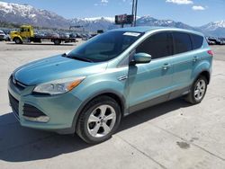 Vehiculos salvage en venta de Copart Farr West, UT: 2013 Ford Escape SE