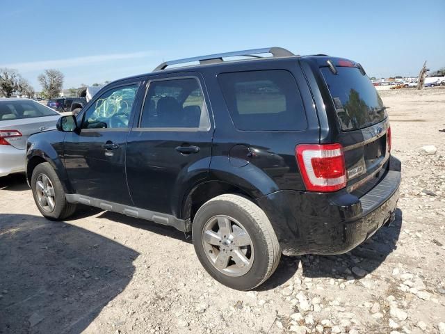 2010 Ford Escape Limited