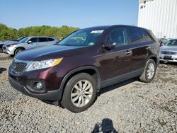 KIA Sorento EX salvage cars for sale: 2011 KIA Sorento EX