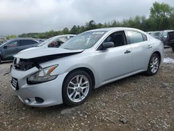 Salvage cars for sale at Memphis, TN auction: 2013 Nissan Maxima S