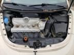 2009 Volkswagen New Beetle S