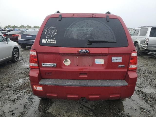 2010 Ford Escape XLT