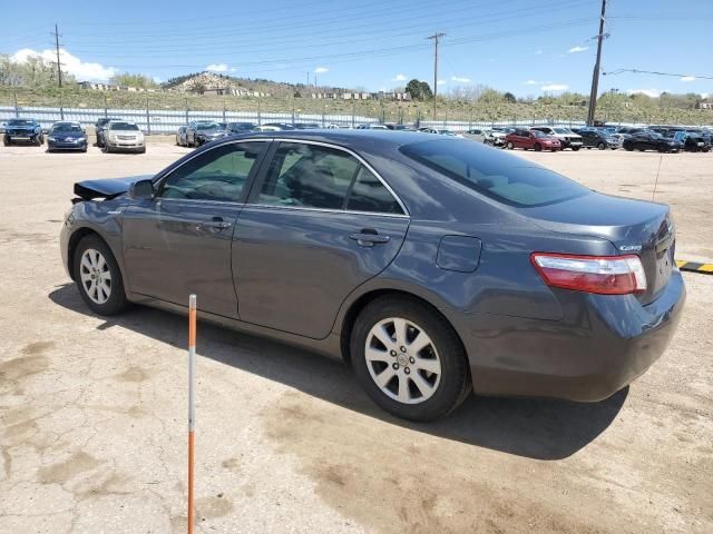 2009 Toyota Camry Hybrid