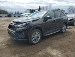 Salvage cars for sale from Copart Ontario Auction, ON: 2023 Toyota Rav4 XLE