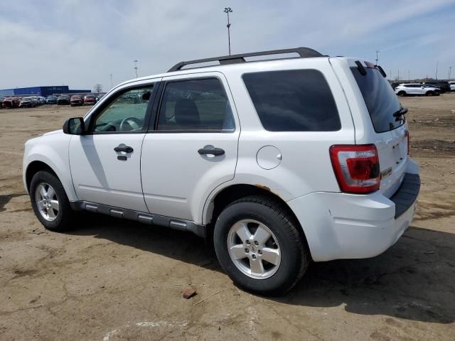 2011 Ford Escape XLT