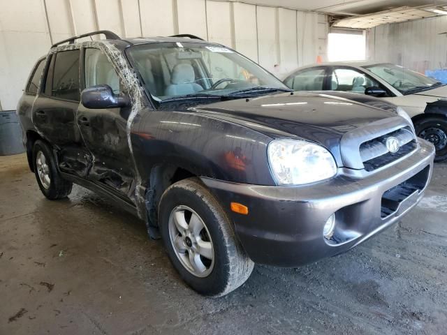 2006 Hyundai Santa FE GLS