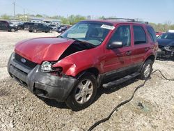 Salvage cars for sale at Louisville, KY auction: 2004 Ford Escape XLT