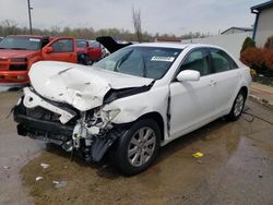 Salvage cars for sale at Louisville, KY auction: 2008 Toyota Camry LE