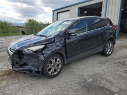 Salvage cars for sale at Chambersburg, PA auction: 2013 Ford Escape SEL