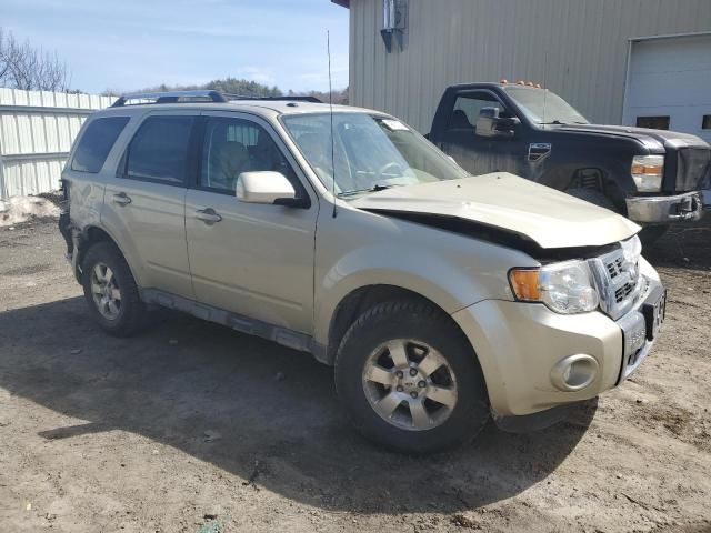 2011 Ford Escape Limited