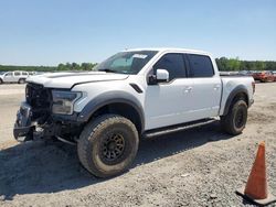 Salvage cars for sale at Lumberton, NC auction: 2018 Ford F150 Raptor