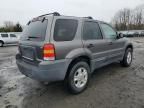 2005 Ford Escape XLT