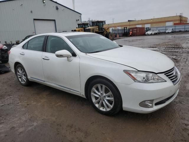 2010 Lexus ES 350