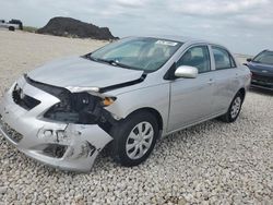 Salvage cars for sale from Copart New Braunfels, TX: 2010 Toyota Corolla Base
