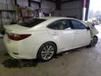 2013 Lexus ES 300H