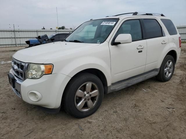 2009 Ford Escape Limited